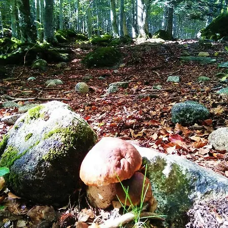 Tu Hogar En La Val D'aran Vielha